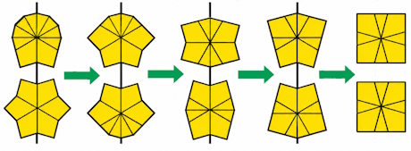 Case 1 in five frames: the top and bottom layer outlines seen from above, a black line marking the cut in each, ending with both layers square